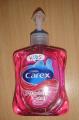 Akademia czystych rk "CAREX"