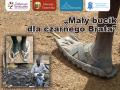 May bucik dla czarnego Brata
