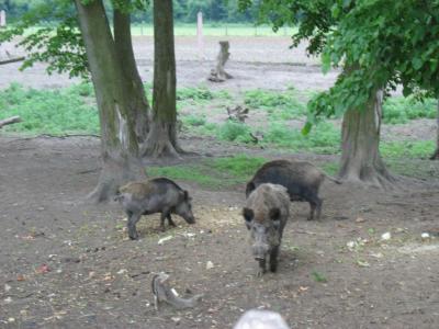201213_56_06.jpg