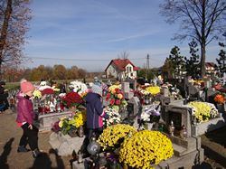 tn_dsc04804.jpg